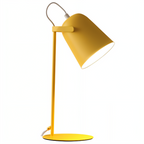 Modern Desk Lamp with Adjustable Head