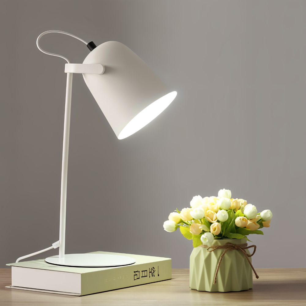 Modern Desk Lamp with Adjustable Head