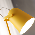 Modern Desk Lamp with Adjustable Head