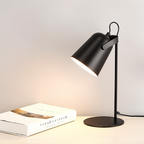 Modern Desk Lamp with Adjustable Head