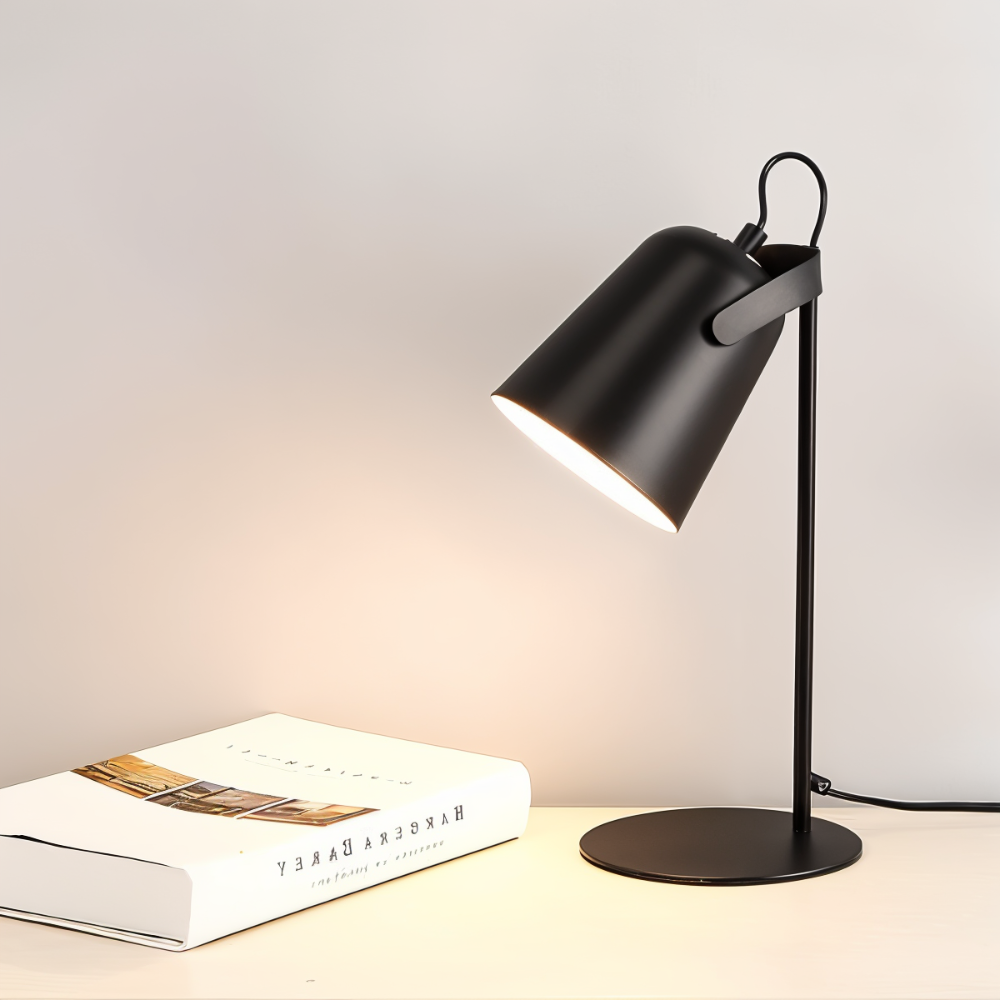 Modern Desk Lamp with Adjustable Head
